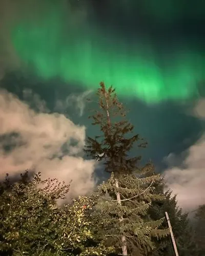 Aurora